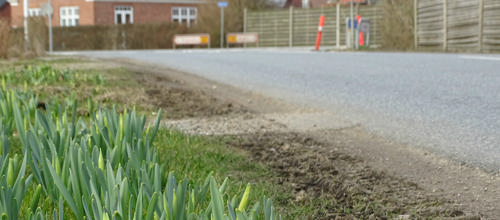 Landdistriktsrådet støtter Lem og Højmark